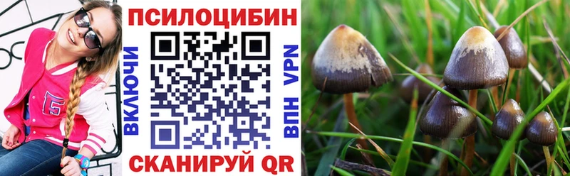 сколько стоит  Лиски  Псилоцибиновые грибы ЛСД 