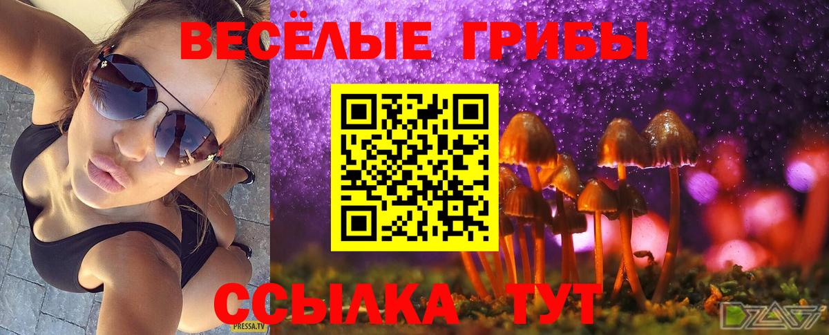 Псилоцибиновые грибы прущие грибы Лиски